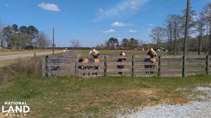 Property in Henry County, Alabama