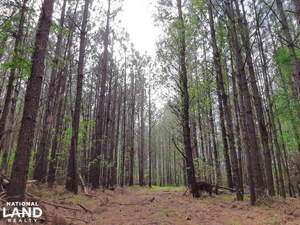 Property in Montgomery County, Alabama