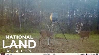 Property in Laurens County, Georgia