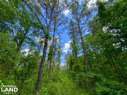 Property in Sumter County, Alabama