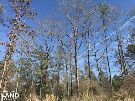 Property in Mobile County, Alabama