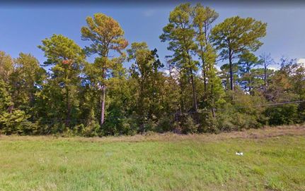 Property in Polk County, Texas