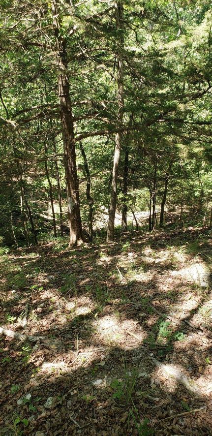 Property in Marion County, Arkansas