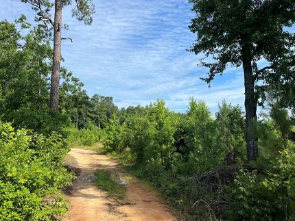 Property in Dinwiddie County, Virginia