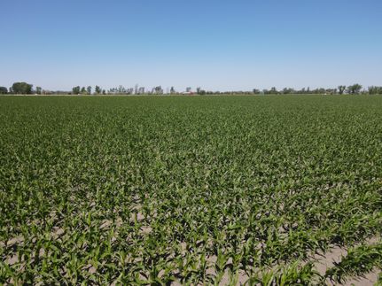 Property in Clay County, Minnesota