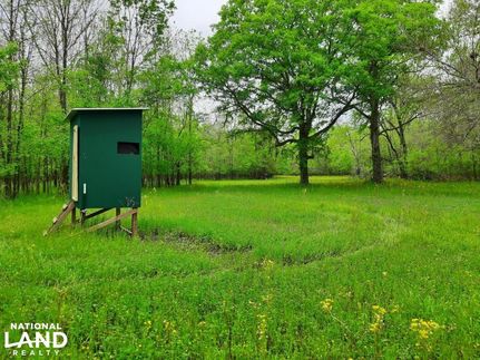 Property in Montgomery County, Alabama