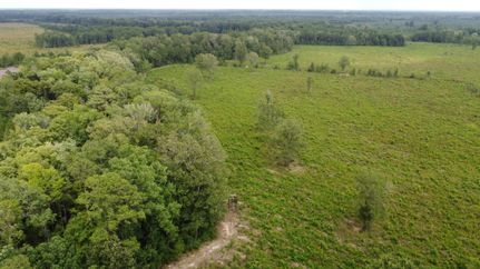 Property in Marion County, South Carolina