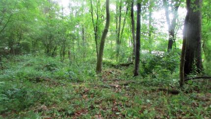 Property for sale in Dutchess County, New York