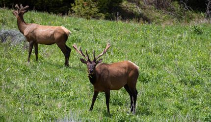Property in Gallatin County, Montana