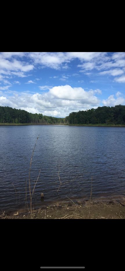 Property in Montgomery County, Mississippi