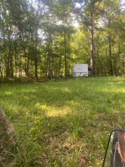 Property in Montgomery County, Mississippi