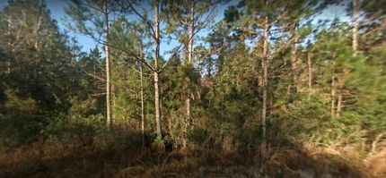 Property in Flagler County, Florida