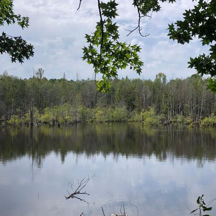 Property in Lexington County, South Carolina