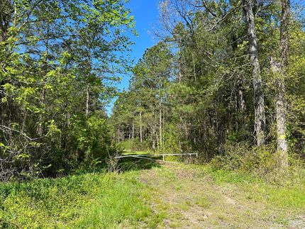 Property in Southampton County, Virginia