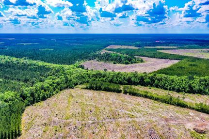 Property in Brantley County, Georgia