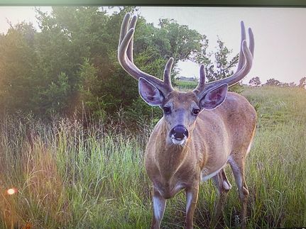 Property in Garfield County, Nebraska
