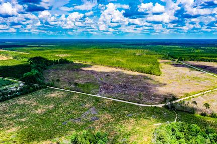 Property in Brantley County, Georgia