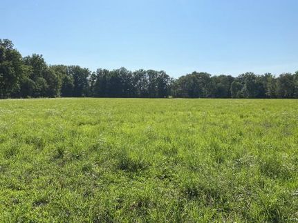 Property in Robertson County, Tennessee