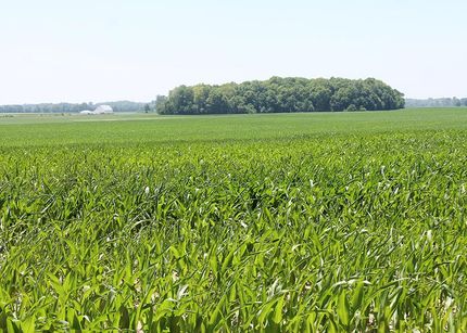 Property in Montgomery County, Indiana