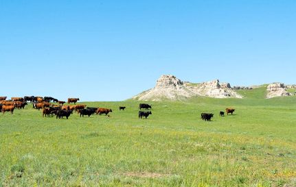 Property in Carter County, Montana