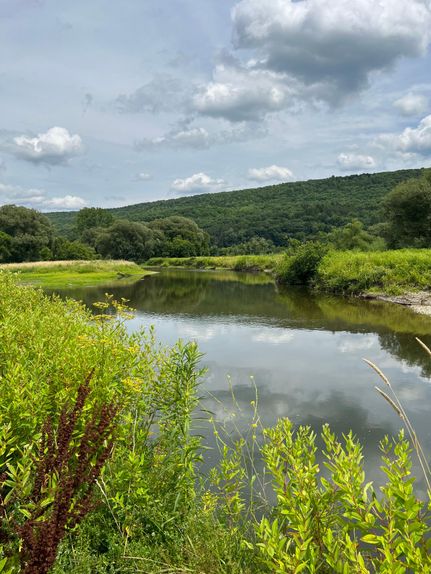 Property in Chenango County, New York
