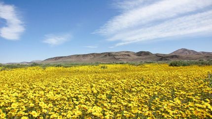 Property in San Bernardino County, California