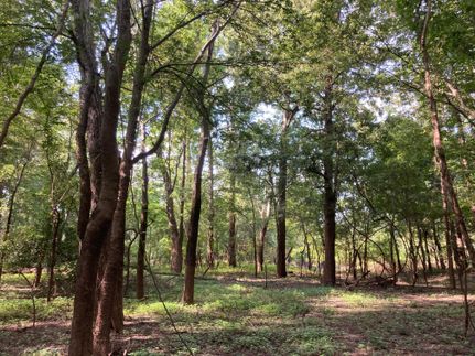 Property in Clarke County, Alabama