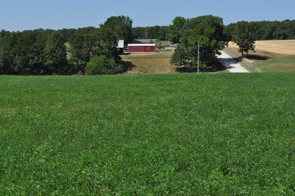 Property in Webster County, Missouri