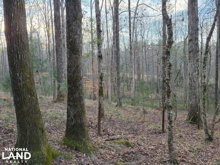 Property in Pike County, Alabama