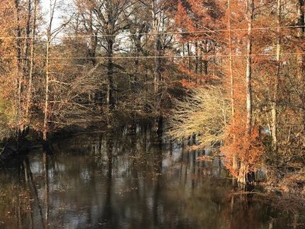 Property in Caldwell Parish, Louisiana