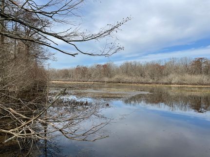 Property in Catahoula Parish, Louisiana