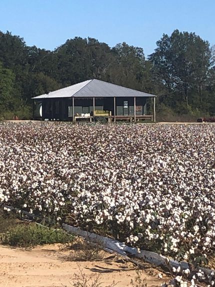 Property in Richland Parish, Louisiana