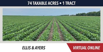 Property in Douglas County, Illinois