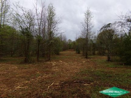 Property in Bienville Parish, Louisiana