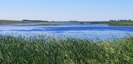 Property in Sargent County, North Dakota