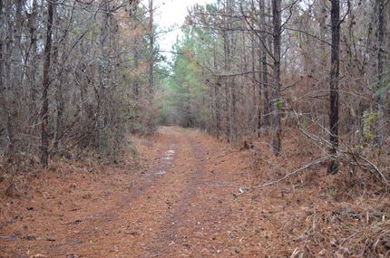 Property in Franklin County, Mississippi