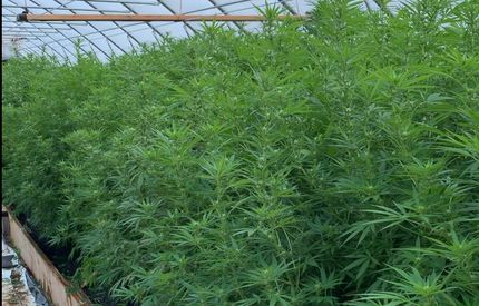 Property in Ellis County, Oklahoma