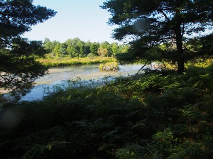 Property in Chenango County, New York