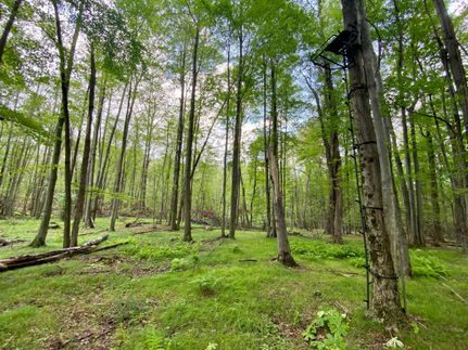 Property in Oakland County, Michigan