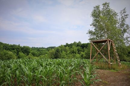 Property in Genesee County, New York