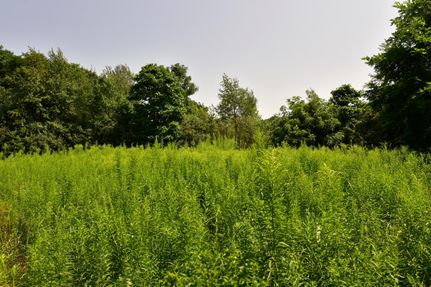 Property in Cayuga County, New York