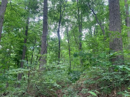 Property in Sullivan County, Tennessee