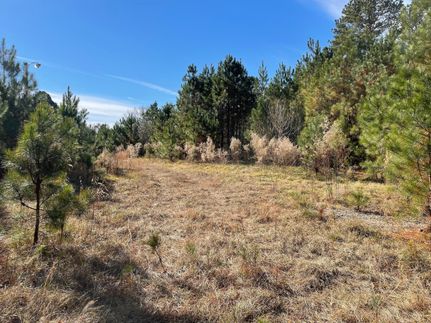 Property in Wake County, North Carolina