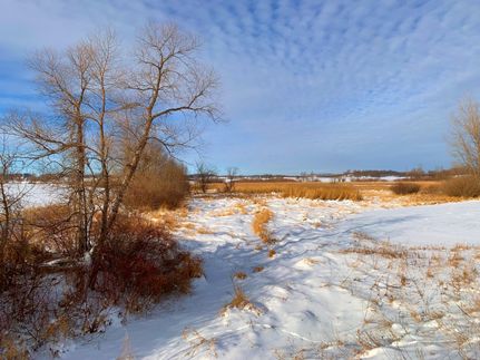 Property in Douglas County, Minnesota