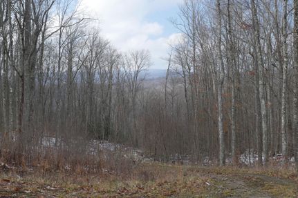 Property in Scott County, Virginia