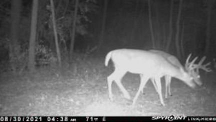 Property in Williamson County, Illinois