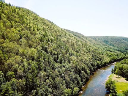 Property in Cameron County, Pennsylvania