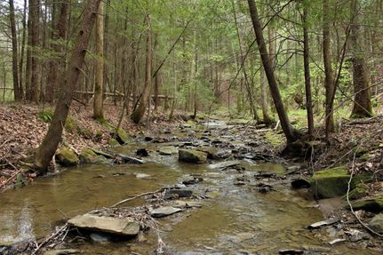 Property in Breathitt County, Kentucky