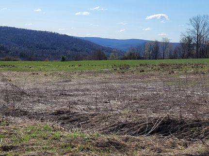 Property in Chenango County, New York