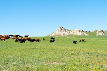 Property in Carter County, Montana